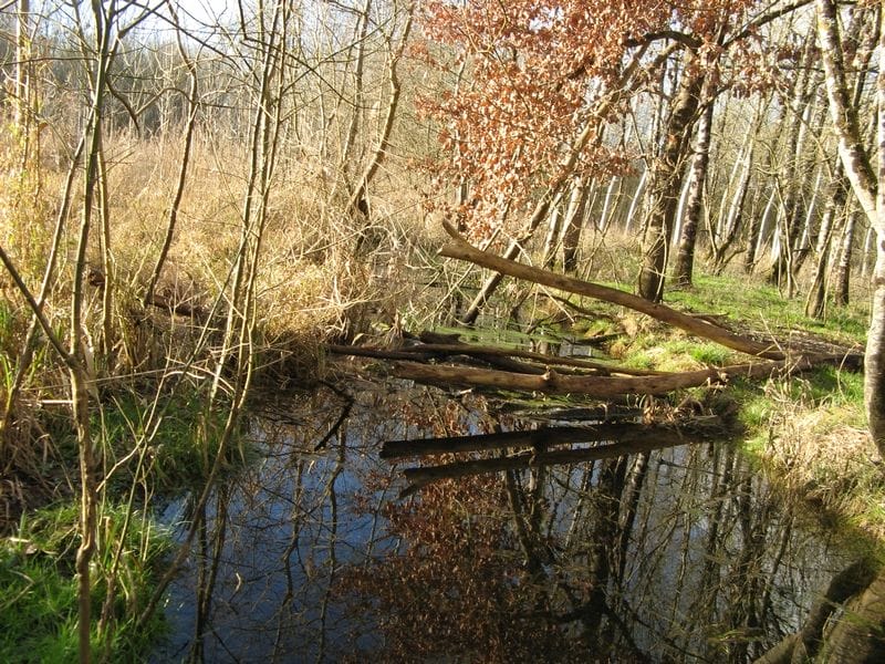 Boire lavoir